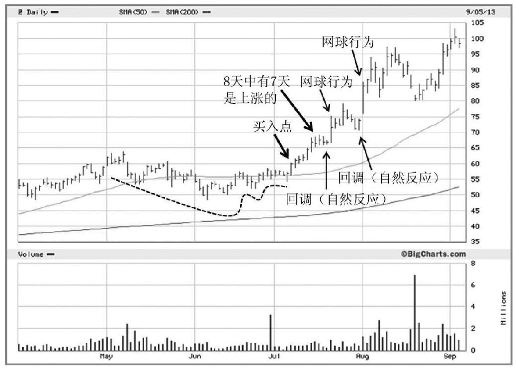图1-6 2013年,Zillow(Z)股票在12个月里上涨了182%。股票突破前期基底,在8天中有7天是上涨的。回调很轻微并且伴随着支撑力;股票显示出明显的追盘买入现象及网球行为