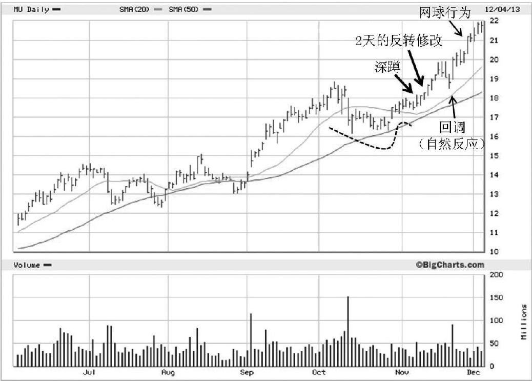 图1-13 2013年,Micron Technologies(MU)13个月里上涨了87%,股票形成了完整的杯型结构(3-C,见第7章)。突破当天熄火,收盘价低于当日振幅中点,典型的下蹲。两天之后股价启动,开始反转修复