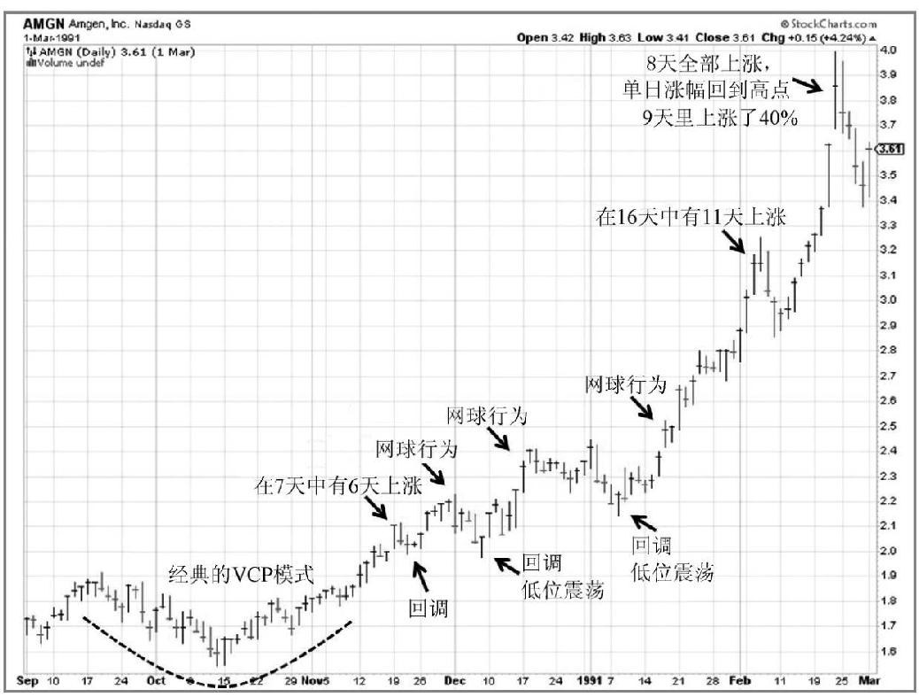 图9-16　1990年，Amgen（AMGN）：突破经典VCP形态后反复出现网球行为，16天中有11天上涨仍属早期，股价在26个月里上涨了360%
